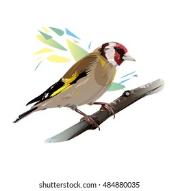 Goldfinch Bird, Vector Illustration