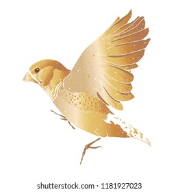 Hand drawn gold Zebra finch. Ink art illustration on white background. Postcard, poster design, website design, logo.