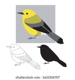 prothonotary warbler ,vector illustration ,flat style ,lining draw silhouette