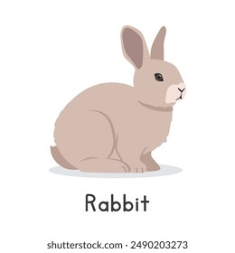 Rabbit vector illustration. Cute bunny rabbit cartoon clipart, animal in flat style. Farm animals concept, rural farming. Livestock animal small rabbit vector design isolated on white background