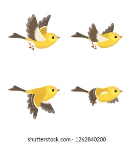 
Vector illustration of cartoon flying American Goldfinch (female) sprite sheet isolated on white background. Can be used for GIF animation 