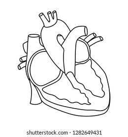 4 Stucture human heart Images, Stock Photos & Vectors | Shutterstock