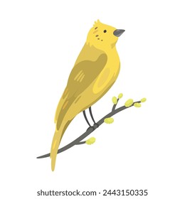 Yellowhammer sitting on a  willow branch. Vector illustration.