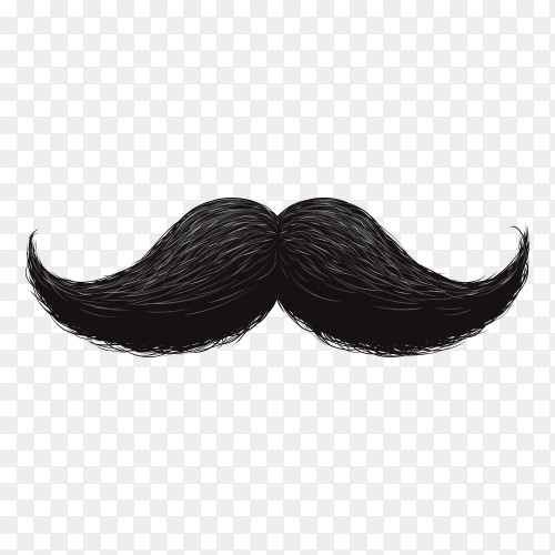 Funny retro hair mustache isolated on transparent background PNG