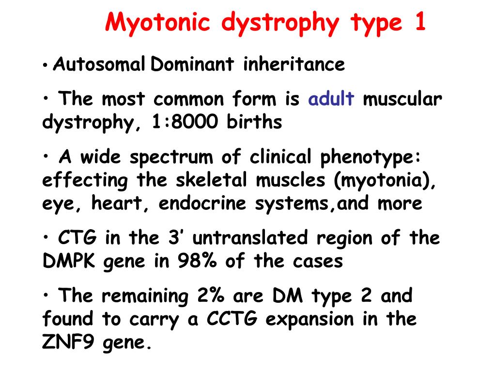 PPT - Fragile X syndrome PowerPoint Presentation, free download - ID ...