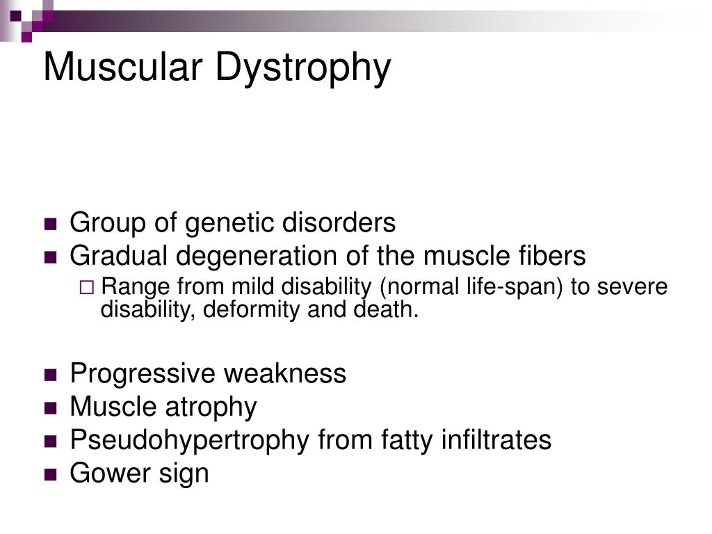 PPT - Musculoskeletal PowerPoint Presentation, free download - ID:1287547