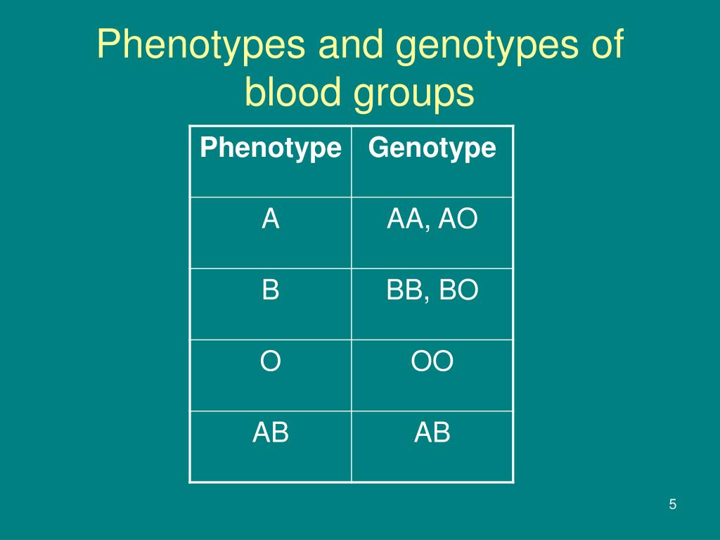 Blood Type Chart Genotypes