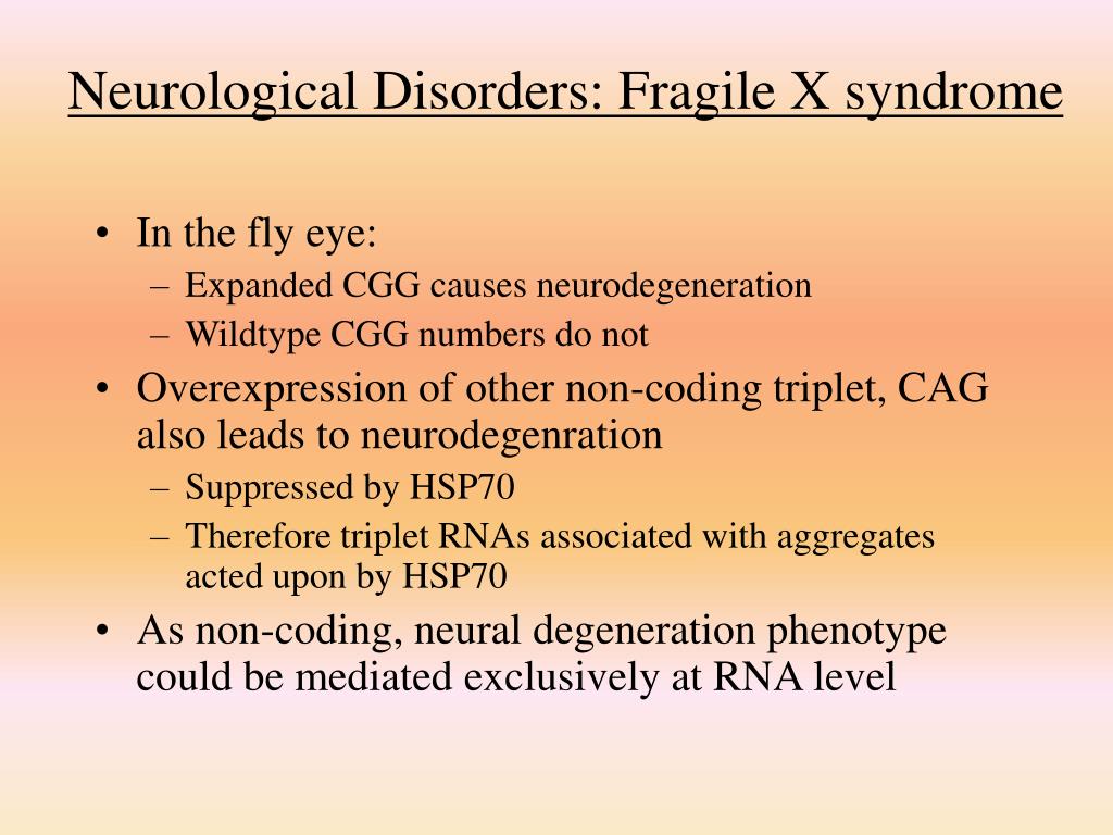 PPT - Model Organisms PowerPoint Presentation, free download - ID:465894