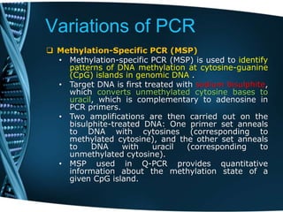 Variations of PCR
 Methylation-Specific PCR (MSP)
• Methylation-specific PCR (MSP) is used to identify
patterns of DNA methylation at cytosine-guanine
(CpG) islands in genomic DNA .
• Target DNA is first treated with sodium bisulphite,
which converts unmethylated cytosine bases to
uracil, which is complementary to adenosine in
PCR primers.
• Two amplifications are then carried out on the
bisulphite-treated DNA: One primer set anneals
to DNA with cytosines (corresponding to
methylated cytosine), and the other set anneals
to DNA with uracil (corresponding to
unmethylated cytosine).
• MSP used in Q-PCR provides quantitative
information about the methylation state of a
given CpG island.
 