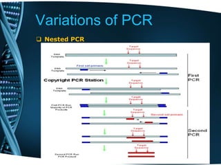 Variations of PCR
 Nested PCR
 