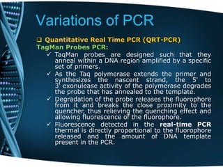 Variations of PCR
 Quantitative Real Time PCR (QRT-PCR)
TagMan Probes PCR:
 TaqMan probes are designed such that they
anneal within a DNA region amplified by a specific
set of primers.
 As the Taq polymerase extends the primer and
synthesizes the nascent strand, the 5' to
3‘ exonulease activity of the polymerase degrades
the probe that has annealed to the template.
 Degradation of the probe releases the fluorophore
from it and breaks the close proximity to the
quencher, thus relieving the quenching effect and
allowing fluorescence of the fluorophore.
 Fluorescence detected in the real-time PCR
thermal is directly proportional to the fluorophore
released and the amount of DNA template
present in the PCR.
 