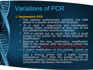 Variations of PCR
 Asymmetric PCR
 This reaction preferentially amplifies one DNA
strand in a double-stranded DNA template.
 It is used in sequencing and hybridization
probing where amplification of only one of the
two complementary strands is required.
 PCR is carried out as usual, but with a great
excess of the primer for the strand targeted for
amplification.
 Because of the slow (arithmetic) amplification
later in the reaction after the limiting primer has
been used up, extra cycles of PCR are required.
 A recent modification on this process, known as
Linear-After-The-Exponential-PCR (LATE-PCR),
uses a limiting primer with a higher melting
temperature (Tm) than the excess primer to
maintain reaction efficiency as the limiting primer
concentration decreases mid-reaction .
 