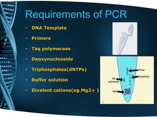 Requirements of PCR
• DNA Template
• Primers
• Taq polymerase
• Deoxynucleoside
• Triphosphates(dNTPs)
• Buffer solution
• Divalent cations(eg.Mg2+ )
 