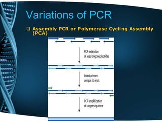 Variations of PCR
 Assembly PCR or Polymerase Cycling Assembly
(PCA)
 