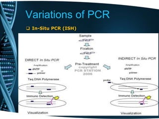 Variations of PCR
 In-Situ PCR (ISH)
 