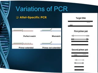 Variations of PCR
 Allel-Specific PCR
 