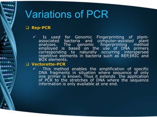 Variations of PCR
 Rep-PCR
 Is used for Genomic Fingerprinting of plant-
associated bacteria and computer-assisted plant
analyses. The genomic fingerprinting method
employed is based on the use of DNA primers
corresponding to naturally occurring interspersed
repetitive elements in bacteria such as REP,ERIC and
BOX elements.
 Vectorette-PCR
 This method enables the amplification of specific
DNA fragments in situation where sequence of only
one primer is known. Thus it extends the application
of PCR to the stretches of DNA where the sequence
information is only available at one end.
 