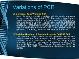 Variations of PCR
 Universal Fast Walking PCR
Used for genome walking and genetic fingerprinting using
a more specific 'two-sided' PCR than conventional 'one-
sided' approaches (using only one gene-specific primer
and one general primer - which can lead to artefactual
'noise') by virtue of a mechanism involving lariat structure
formation. Streamlined derivatives of UFW are LaNe RAGE
(lariat-dependent nested PCR for rapid amplification of
genomic DNA ends), 5'RACE LaNe and 3'RACE LaNe .
 Variable Number of Tandem Repeats (VNTR) PCR
This method targets areas of the genome that exhibit
length variation. The analysis of the genotypes of the
sample usually involves sizing of the amplification
products by gel electrophoresis. Analysis of smaller VNTR
segments known as Short Tandem Repeats (or STRs) is
the basis for DNA Fingerprinting databases such as
CODIS .
 