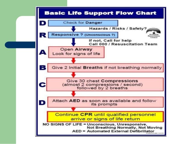 1. bls & als for adults