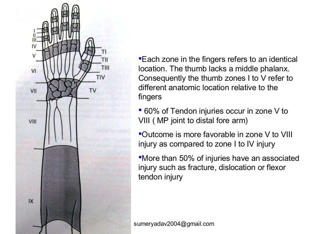 extensor tendons injury and deformity