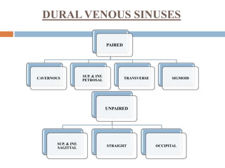 DURAL VENOUS SINUSES
PAIRED
CAVERNOUS
SUP. & INF.
PETROSAL
TRANSVERSE SIGMOID
UNPAIRED
SUP. & INF.
SAGITTAL
STRAIGHT OCCIPITAL
 