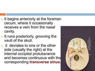  It begins anteriorly at the foramen
cecum, where it occasionally
receives a vein from the nasal
cavity.
 It runs posteriorly, grooving the
vault of the skull.
 it deviates to one or the other
side (usually the right) at the
internal occipital protuberance
and becomes continuous with the
corresponding transverse sinus.
 