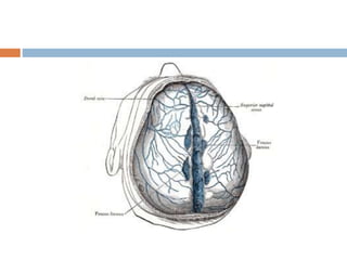 15 dural venous sinuses