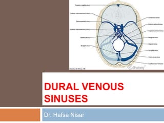 DURAL VENOUS
SINUSES
Dr. Hafsa Nisar
 