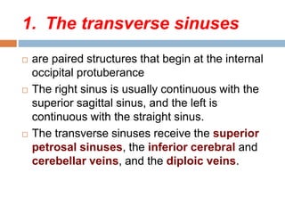 1. The transverse sinuses
 are paired structures that begin at the internal
occipital protuberance
 The right sinus is usually continuous with the
superior sagittal sinus, and the left is
continuous with the straight sinus.
 The transverse sinuses receive the superior
petrosal sinuses, the inferior cerebral and
cerebellar veins, and the diploic veins.
 