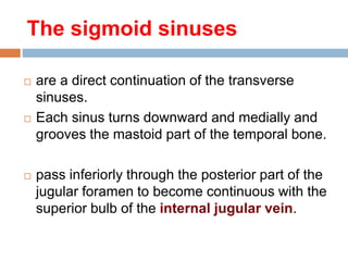 The sigmoid sinuses
 are a direct continuation of the transverse
sinuses.
 Each sinus turns downward and medially and
grooves the mastoid part of the temporal bone.
 pass inferiorly through the posterior part of the
jugular foramen to become continuous with the
superior bulb of the internal jugular vein.
 