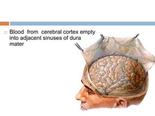  Blood from cerebral cortex empty
into adjacent sinuses of dura
mater
 