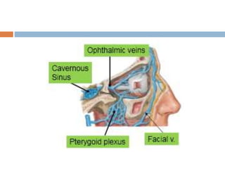 15 dural venous sinuses