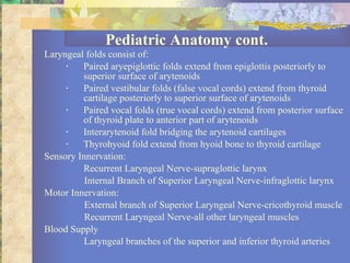 Pediatric Anatomy cont. Laryngeal folds consist of: Paired aryepiglottic folds extend from epiglottis posteriorly to superior surface of arytenoids Paired vestibular folds (false vocal cords) extend from thyroid cartilage posteriorly to superior surface of arytenoids Paired vocal folds (true vocal cords) extend from posterior surface of thyroid plate to anterior part of arytenoids Interarytenoid fold bridging the arytenoid cartilages Thyrohyoid fold extend from hyoid bone to thyroid cartilage Sensory Innervation:   Recurrent Laryngeal Nerve-supraglottic larynx   Internal Branch of Superior Laryngeal Nerve-infraglottic larynx Motor Innervation:   External branch of Superior Laryngeal Nerve-cricothyroid muscle   Recurrent Laryngeal Nerve-all other laryngeal muscles Blood Supply Laryngeal branches of the superior and inferior thyroid arteries 