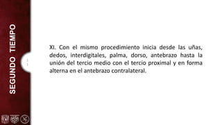 1
1
SEGUNDO
TIEMPO
XI. Con el mismo procedimiento inicia desde las uñas,
dedos, interdigitales, palma, dorso, antebrazo hasta la
unión del tercio medio con el tercio proximal y en forma
alterna en el antebrazo contralateral.
 