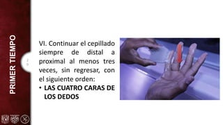 2
0
PRIMER
TIEMPO
VI. Continuar el cepillado
siempre de distal a
proximal al menos tres
veces, sin regresar, con
el siguiente orden:
• LAS CUATRO CARAS DE
LOS DEDOS
 