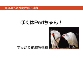 最近めっきり聞かないよね 
ぼくはPerlちゃん！ 
すっかり絶滅危惧種 
 