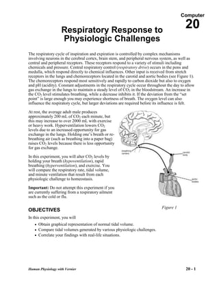 20 respiratory response | PDF