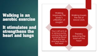 Walking is an
aerobic exercise
It stimulates and
strengthens the
heart and lungs
Walking
improves the
body’s
utilization of
oxygen
Walking lowers
the risk of
blood clots
Your calf acts as
a venous pump,
contracting and
pumping blood
from the feet
and legs back to
the heart
Thereby
reducing the
load on the
heart
 