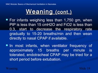 NNC Module: Basics of Mechanical Ventilation in Neonates
Weaning Slide 19
WeaningWeaning (cont.)(cont.)
 For infants weighing less than 1,750 gm, when
PIP is less than 15 cmH2O and FiO2 is less than
0.3, start to decrease the respiratory rate
gradually to 15-20 breaths/min and then wean
directly to nasal CPAP if available.
 In most infants, when ventilator frequency of
approximately 15 breaths per minute is
tolerated, endotracheal CPAP may be tried for a
short period before extubation.
 