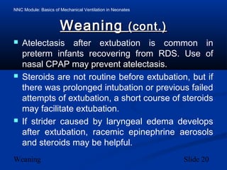 NNC Module: Basics of Mechanical Ventilation in Neonates
Weaning Slide 20
WeaningWeaning (cont.)(cont.)
 Atelectasis after extubation is common in
preterm infants recovering from RDS. Use of
nasal CPAP may prevent atelectasis.
 Steroids are not routine before extubation, but if
there was prolonged intubation or previous failed
attempts of extubation, a short course of steroids
may facilitate extubation.
 If strider caused by laryngeal edema develops
after extubation, racemic epinephrine aerosols
and steroids may be helpful.
 