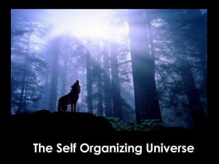 The Self Organizing Universe 