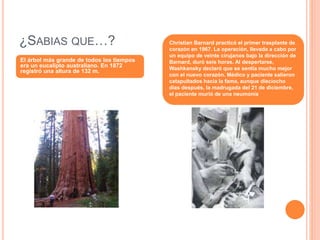 ¿SABIAS QUE…?
El árbol más grande de todos los tiempos
era un eucalipto australiano. En 1872
registró una altura de 132 m.
Christian Barnard practicó el primer trasplante de
corazón en 1967. La operación, llevada a cabo por
un equipo de veinte cirujanos bajo la dirección de
Barnard, duró seis horas. Al despertarse,
Washkansky declaró que se sentía mucho mejor
con el nuevo corazón. Médico y paciente salieron
catapultados hacia la fama, aunque dieciocho
días después, la madrugada del 21 de diciembre,
el paciente murió de una neumonía
 