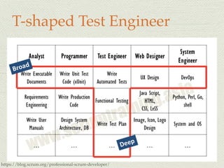 T-shaped Test Engineer
https://blog.scrum.org/professional-scrum-developer/
 