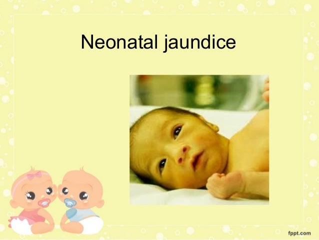 Neonatal Jaundice Pptx Muhadharaty