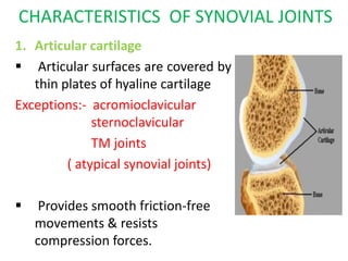 CHARACTERISTICS OF SYNOVIAL JOINTS
1. Articular cartilage
 Articular surfaces are covered by
thin plates of hyaline cartilage
Exceptions:- acromioclavicular
sternoclavicular
TM joints
( atypical synovial joints)
 Provides smooth friction-free
movements & resists
compression forces.
 