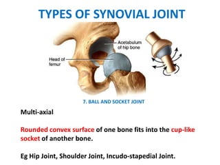 TYPES OF SYNOVIAL JOINT
7. BALL AND SOCKET JOINT
Multi-axial
Rounded convex surface of one bone fits into the cup-like
socket of another bone.
Eg Hip Joint, Shoulder Joint, Incudo-stapedial Joint.
 