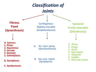 A. Sutures
1. Plane
2. Squamous
3. Serrate
4. Dentate
5. Schindylesis
B. Gomphosis
C. Syndesmosis
A. Pri. Cart. joints
(Synchondrosis)
B. Sec.cart. Joints
(Symphysis)
1. Plane
2. Hinge
3. Pivot
4. Bicondylar
5. Ellipsoid
6. Saddle
7. Ball and socket
Synovial
Freely movable
(Diarthrosis)
Cartilaginous
Slightly movable
(Amphiarthrosis)
Fibrous
Fixed
(Synarthrosis)
Classification of
Joints
 