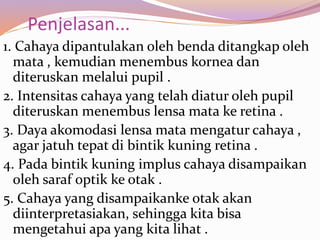 Penjelasan...
1. Cahaya dipantulakan oleh benda ditangkap oleh
mata , kemudian menembus kornea dan
diteruskan melalui pupil .
2. Intensitas cahaya yang telah diatur oleh pupil
diteruskan menembus lensa mata ke retina .
3. Daya akomodasi lensa mata mengatur cahaya ,
agar jatuh tepat di bintik kuning retina .
4. Pada bintik kuning implus cahaya disampaikan
oleh saraf optik ke otak .
5. Cahaya yang disampaikanke otak akan
diinterpretasiakan, sehingga kita bisa
mengetahui apa yang kita lihat .
 