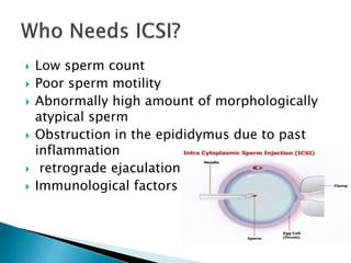  Low sperm count
 Poor sperm motility
 Abnormally high amount of morphologically
atypical sperm
 Obstruction in the epididymus due to past
inflammation
 retrograde ejaculation
 Immunological factors
 