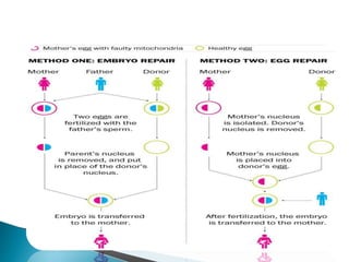 Artificial Reproductive Technology